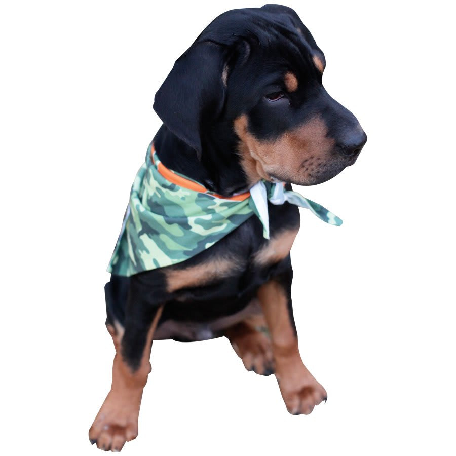 Pet Bandanas & Scarves-MO