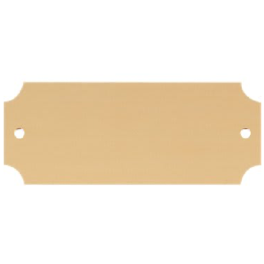 2 1/2" x 7/8" Satin Gold Brass Perpetual Plate-MO